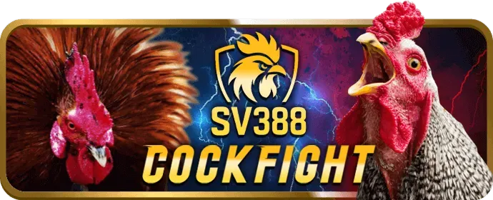 Hỗ trợ khách hàng 24/7 của 69vin nhà cái